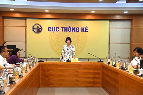 Thứ trưởng Bộ Tài chính Nguyễn Thị Bích Ngọc phát biểu tại Hội nghị. (Ảnh: Cục Thống kê)