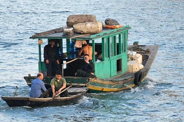 Đưa khỉ ra đảo, trả về môi trường tự nhiên.