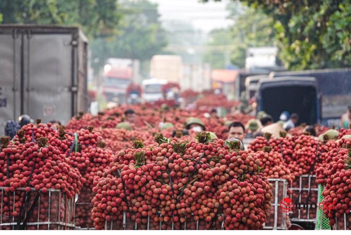 Bắc Giang tận dụng các FTA thế hệ mới làm 'bàn đạp', góp phần đưa kinh tế bứt phá