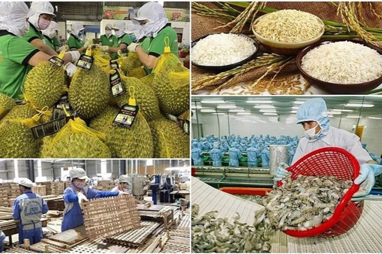 Chủ động giữ nhịp xuất khẩu nông sản trước biến động thương mại toàn cầu