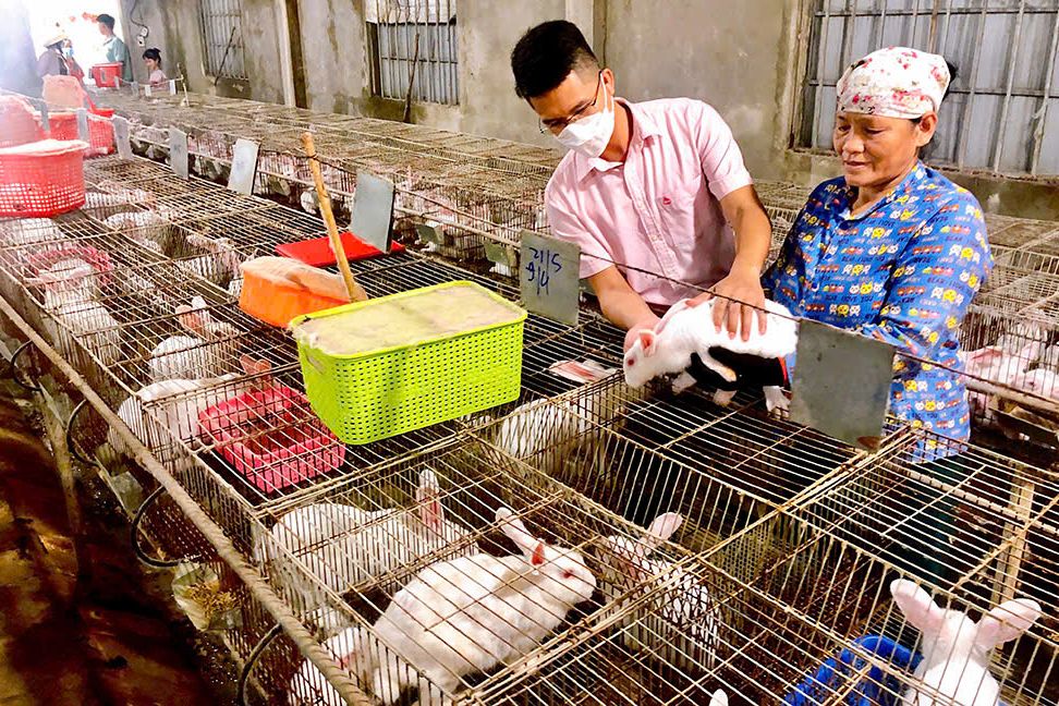 Tín dụng chính sách - lực đẩy giúp Quảng Bình vươn mình