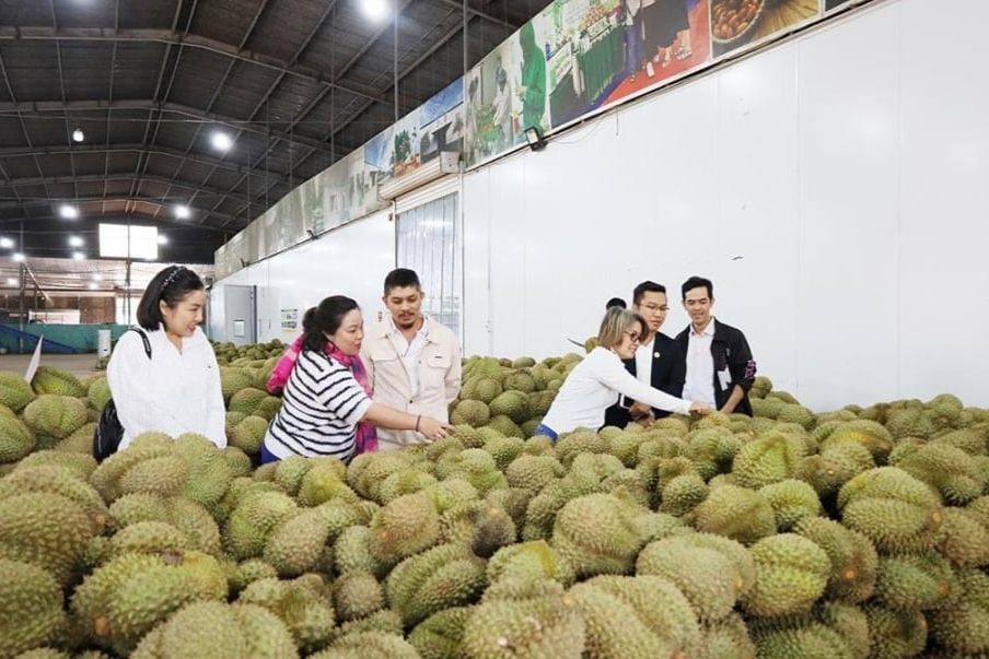 Trung Quốc cấp thêm 829 mã vùng trồng, mở “cánh cửa vàng” cho sầu riêng Việt