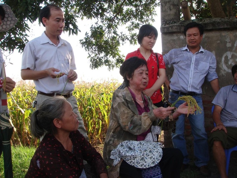 GS. TS Hoàng Tuyết Minh với nông dân trồng giống lúa Japonica ĐS3 tại Hà Nội năm 2016