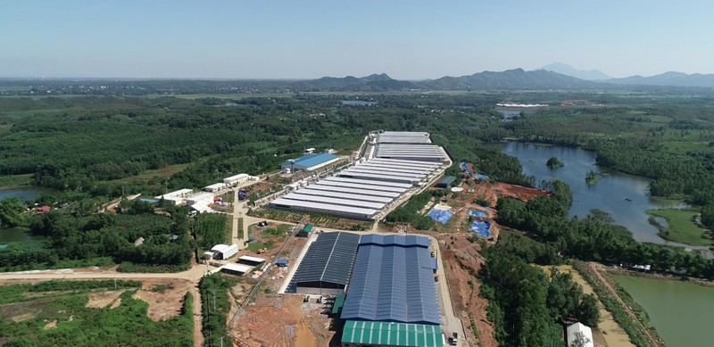 Sự thật phía sau những quả “trứng sạch” Hòa Phát: Núi phân gà hàng chục ngàn tấn đầu độc nguồn nước