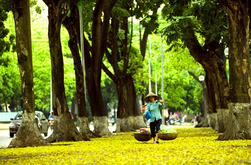 Kết quả hình ảnh cho ngày thu Hà Nội