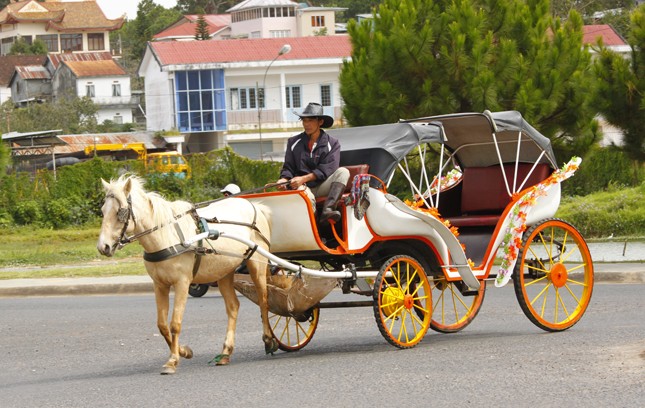Tản mạn chuyện xe ngựa trên thế giới | Quốc tế | Báo Pháp luật Việt Nam