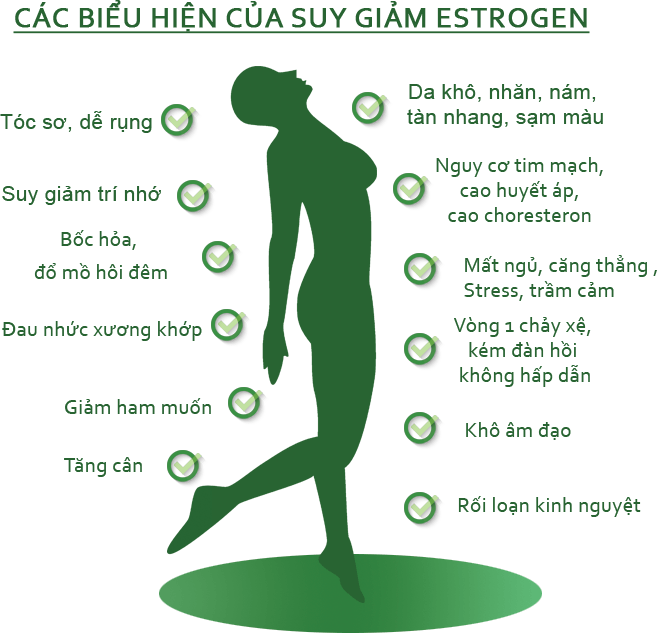 Bổ sung estrogen: Lợi và hại? Bổ sung estrogen: Lợi và hại?