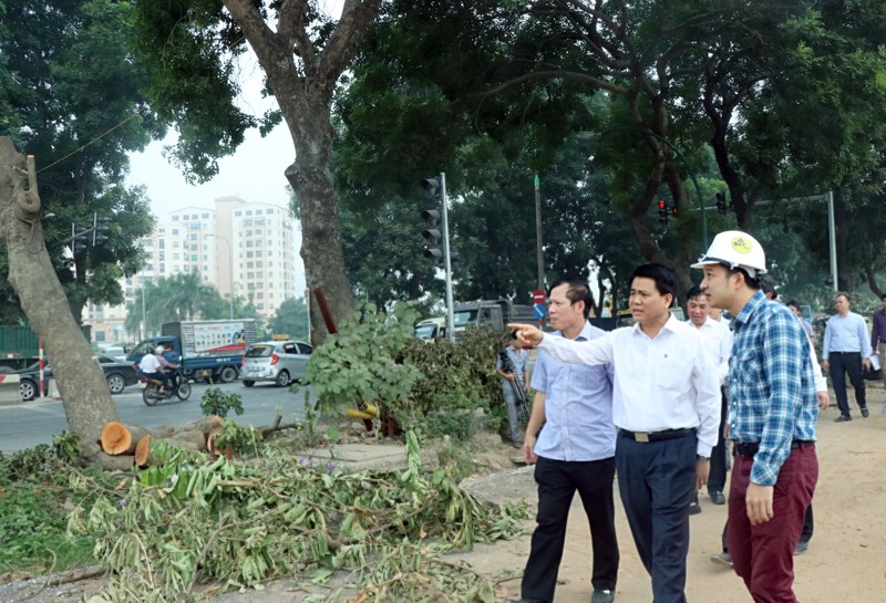 Chủ tịch Hà Nội,Nguyễn Đức Chung,cây xanh,chặt cây,đường Phạm Văn Đồng Chủ tịch Hà Nội,Nguyễn Đức Chung,cây xanh,chặt cây,đường Phạm Văn Đồng