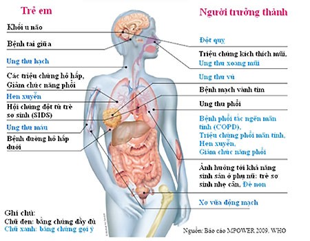 Một giờ hít khói thuốc lá độc hại bằng hút 10 điếu