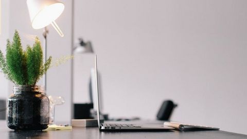 {title} Chọn cây phong thuỷ để bàn phù hợp nghề nghiệp