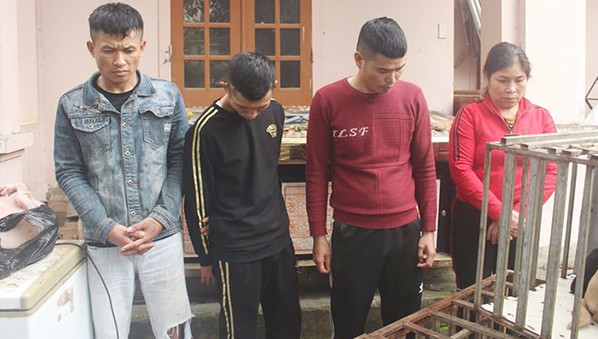 5 tên trộm đánh bả chó hơn 100 vụ náo loạn làng quê