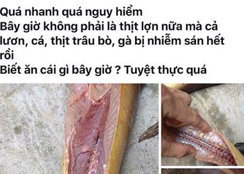 Nội dung thông tin và hình ảnh nữ giáo viên đăng tải sai sự thật trên mạng đã được gỡ xuống.