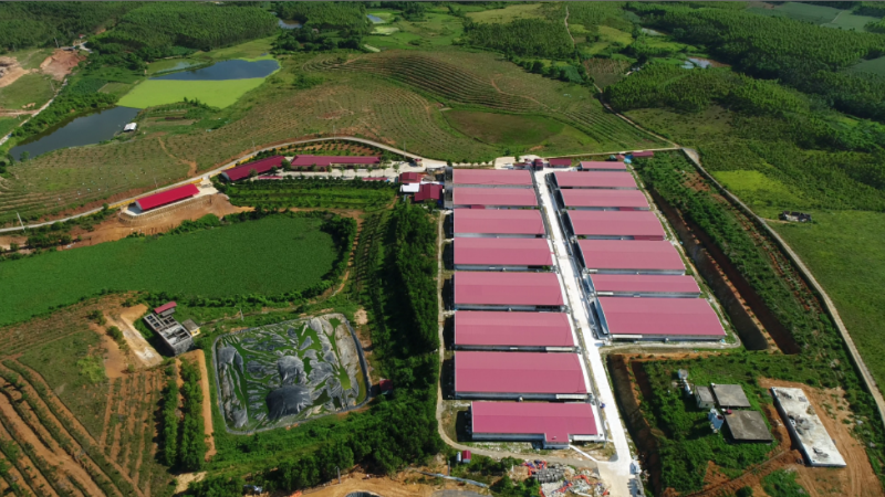 Phạt Công ty Cổ phần Tập đoàn Dabaco Việt Nam 300 triệu đồng