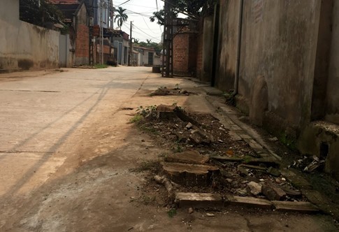 hà nội ra công văn khẩn cấm tự ý chặt cây xanh khi dẹp vỉa hè hình 3 ha noi ra cong van khan cam tu y chat cay xanh khi dep via he hinh 3