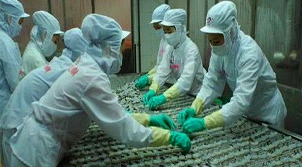 Doanh nghiệp chủ động nắm sát tình hình thị trường để tranh thủ xuất khẩu