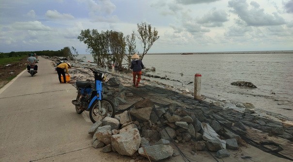 Chủ tịch Cà Mau chỉ đạo xử lý trách nhiệm liên quan đến những sai phạm ở công trình đê biển Tây