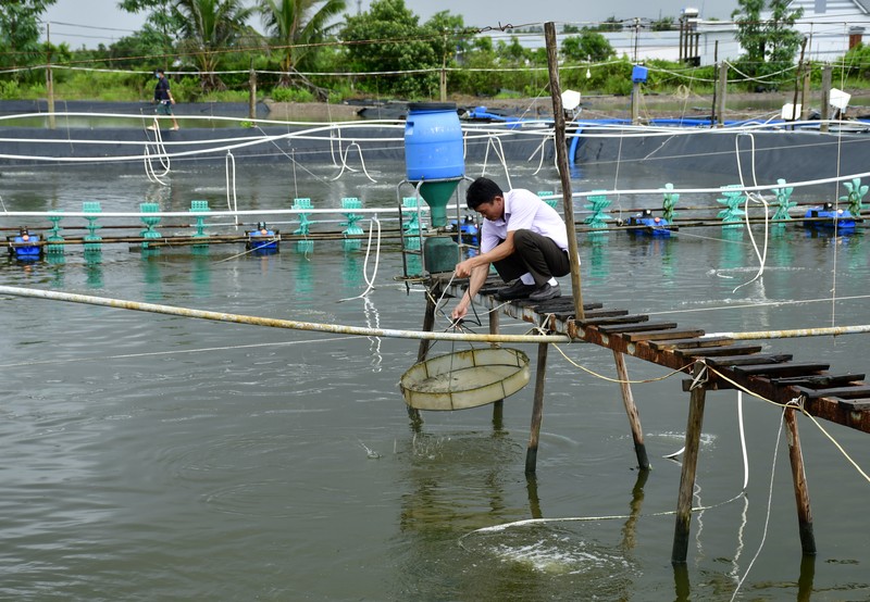 Đại hội đại biểu Đảng bộ tỉnh Cà Mau lần thứ XVI: Cơ bản đạt mục tiêu trở thành tỉnh phát triển khá của vùng
