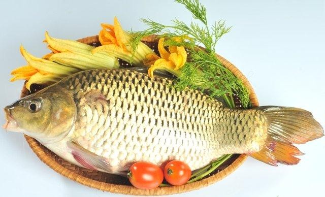 Kết quả hình ảnh cho ca
