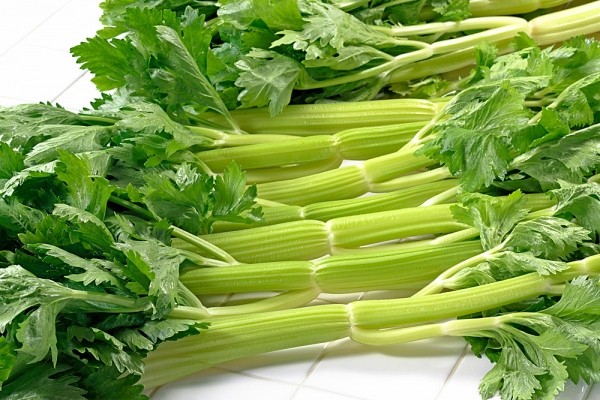 Kết quả hình ảnh cho rau cần tây