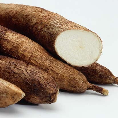 Kết quả hình ảnh cho sắn
