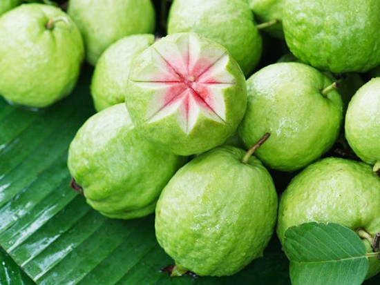 Kết quả hình ảnh cho ổi