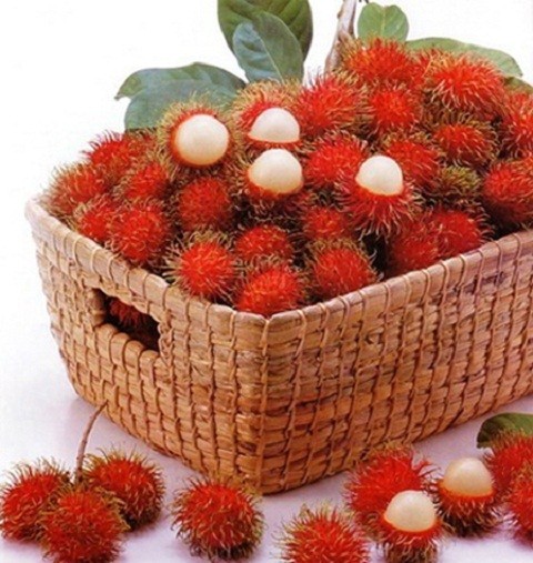 Kết quả hình ảnh cho chôm chôm