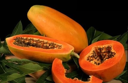 Hình ảnh có liên quan