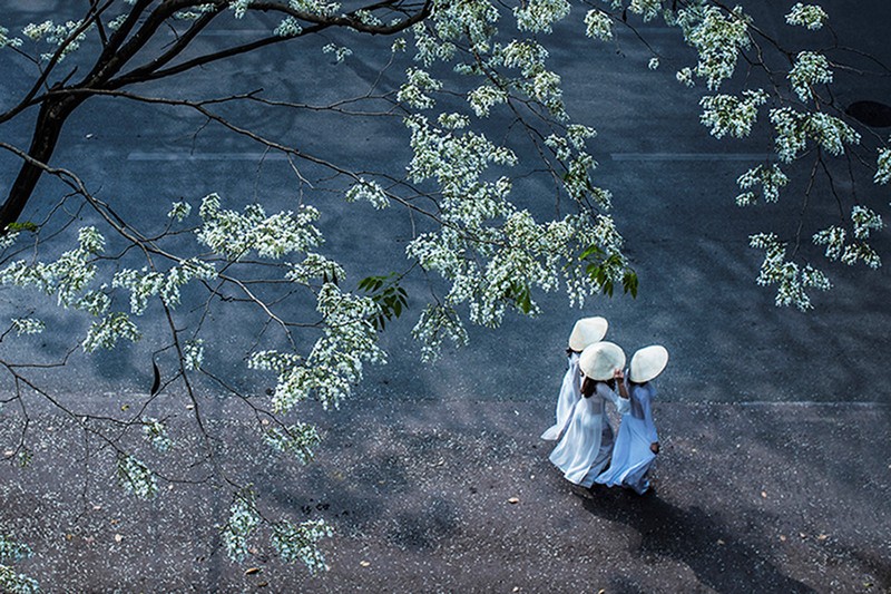 Nhung goc nho tuyet dep cua Ha Noi hinh anh 3