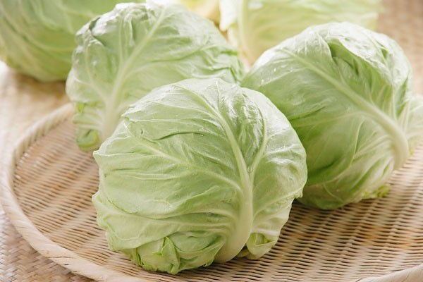 Kết quả hình ảnh cho bắp cải