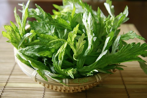 Kết quả hình ảnh cho rau ngải cứu
