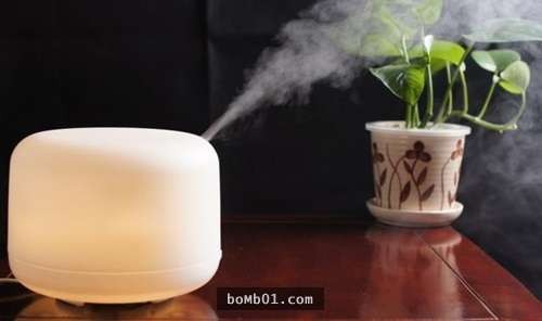 Kết quả hình ảnh cho Tăng cường độ ẩm không khí trong nhà