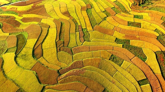 Không chỉ Nhật Bản - Hàn Quốc, Trung Quốc cũng có mùa thu đẹp nao lòng