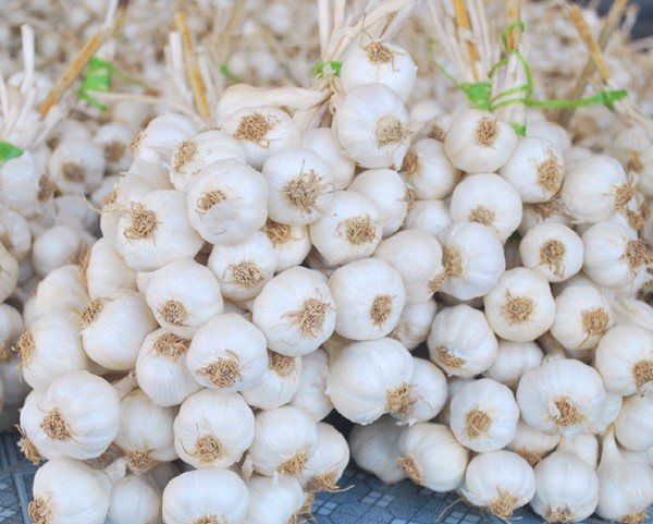 8-mon-qua-que-quang-ngai-khien-nguoi-di-xa-nho-mai-khong-quen-4