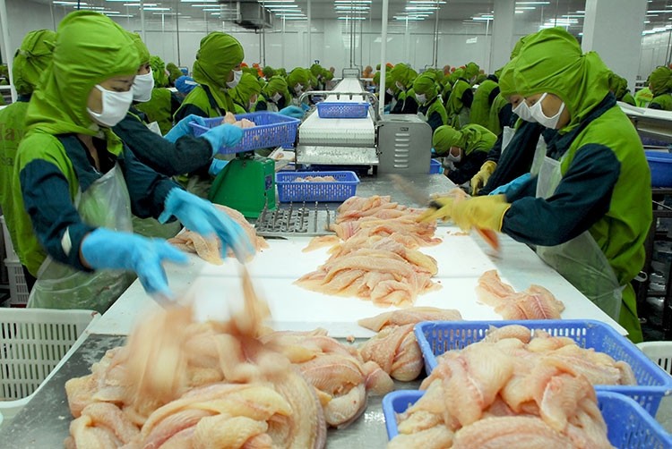 Hiệp Hội Chế biến và Xuất khẩu thủy sản (VASEP) phản hồi là không bị ảnh hưởng gì khi xuất khẩu sang thị trường Mỹ. Ảnh minh họa