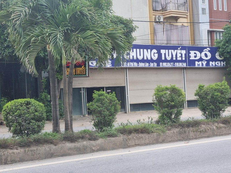 Hà Nội: Đầu tư hàng tỷ đồng kinh phí chăm sóc, cây xanh và thảm cỏ vẫn nhếch nhác khó tin ảnh 1