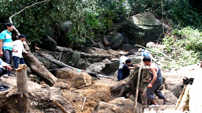 Người dân đào bới tìm trầm kỳ tại khu rừng xã Sơn Trung, huyện Khánh Sơn