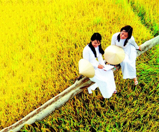 Thương lấy đồng quê - Ảnh 1. Thương lấy đồng quê - Ảnh 1.