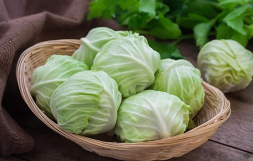 Bắp cải chữa đủ bệnh, nhất là chống ung thư, tiểu đường, xương khớp - ảnh 2