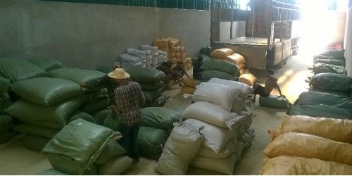 Một góc lô dược liệu được kiểm tra