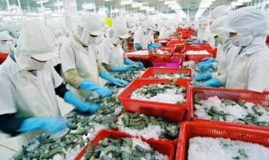 Ảnh minh họa nguồn Internet