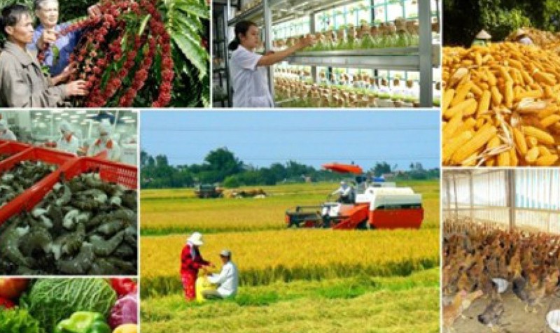 Ảnh minh họa. Nguồn internet