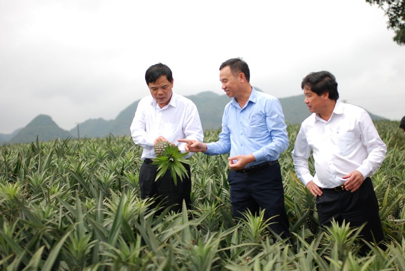 Phát triển vùng nguyên liệu tập trung, chế biến sâu và xúc tiến, mở rộng thị trường là 2 nút thắt mà Tư lệnh ngành Nông nghiệp cho biết sẽ tập trung tháo gỡ trong năm 2018