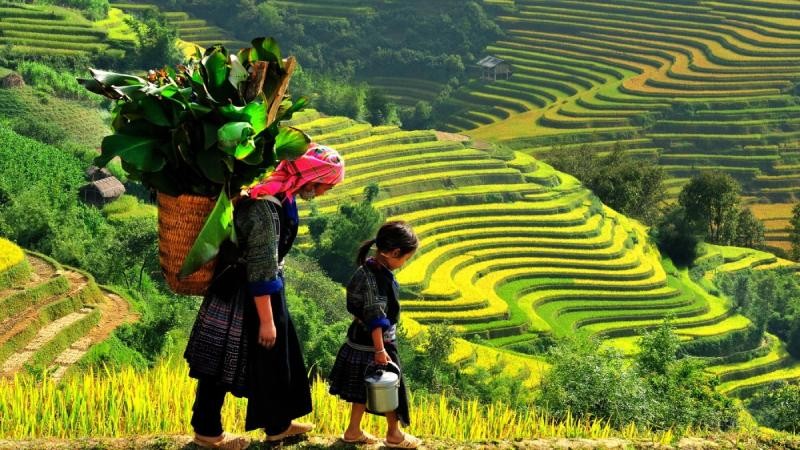 Việt Nam có nhiều lợi thế phát triển du lịch theo hình thức “Awe Walk”.