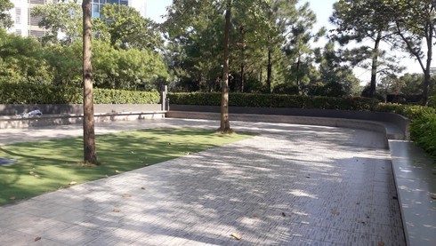 Nơi xảy ra vụ việc