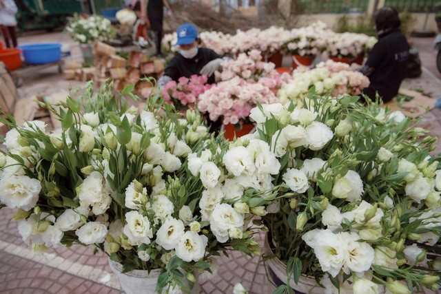 Nhà Duy Mạnh dựng rạp hoành tráng, chuẩn bị nước rửa tay cho khách dự cưới - 8 Nhà Duy Mạnh dựng rạp hoành tráng, chuẩn bị nước rửa tay cho khách dự cưới - 8