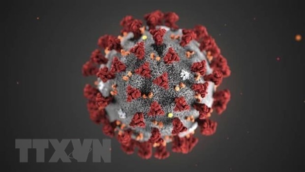 Hình ảnh chủng mới của virus corona. Ảnh: TTXVN.