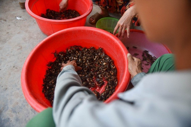 Câu con lộc trời cho: nông dân Hải Dương kiếm nửa triệu đồng mỗi ngày - 18 Câu con lộc trời cho: nông dân Hải Dương kiếm nửa triệu đồng mỗi ngày - 18