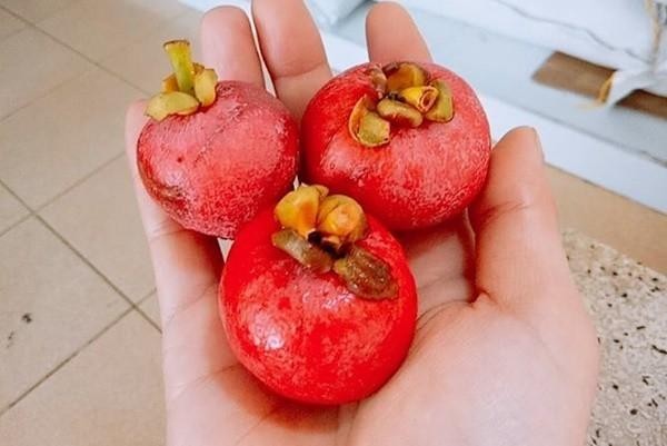 4 loại quả rừng 'giá chát' vẫn được lùng mua ảnh 13