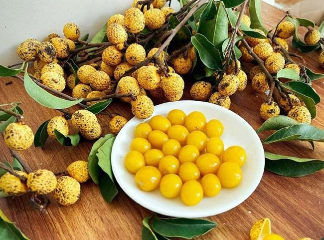 4 loại quả rừng 'giá chát' vẫn được lùng mua ảnh 3