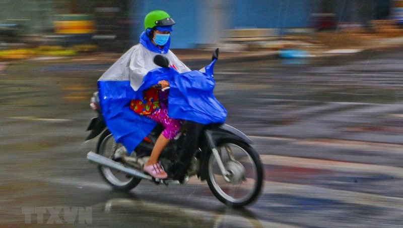 Ảnh minh họa: TTXVN